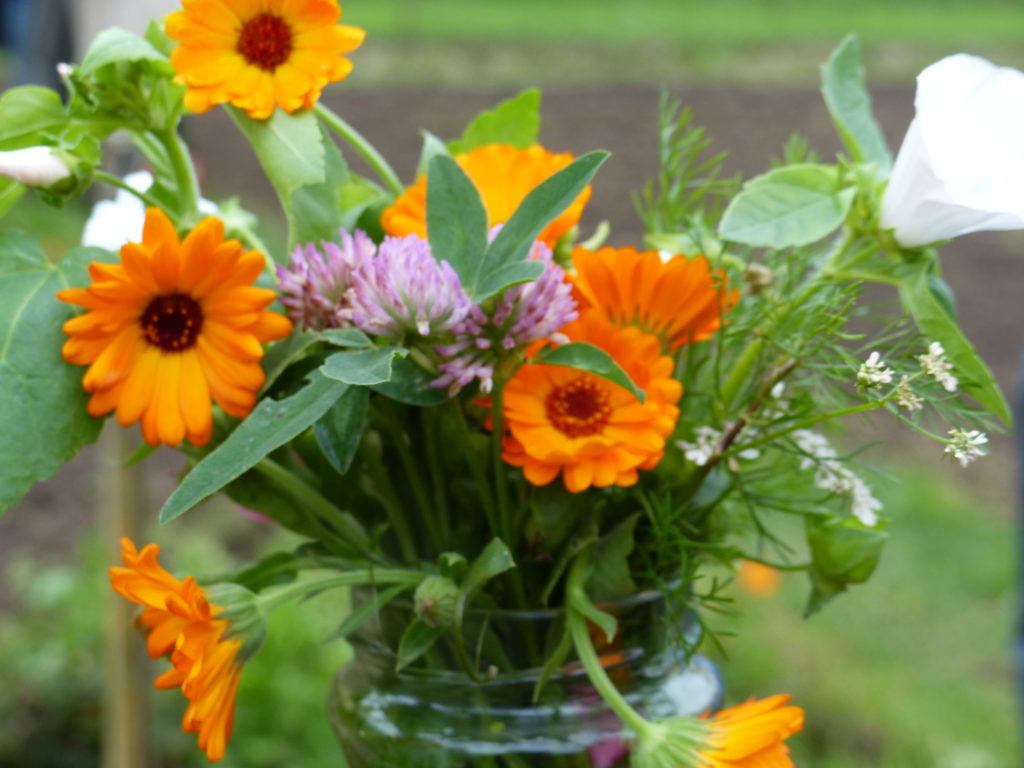 eetbare bloemen in een vaasje