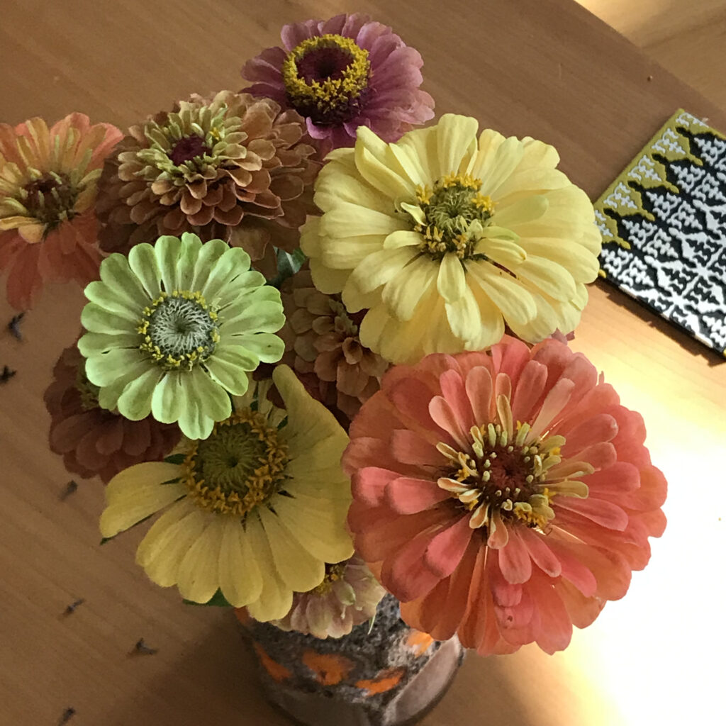 Zinnia bosje plakboeken