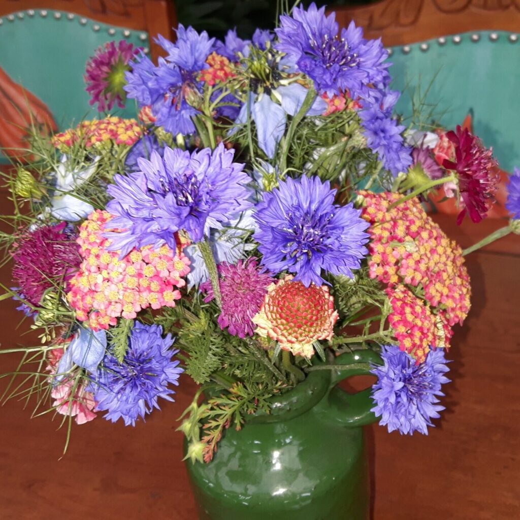 Plukboeket rose lila