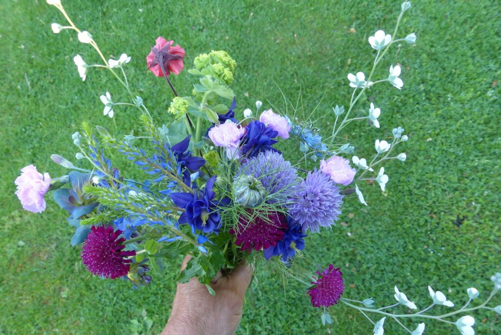 Plukboeket Plukjebloemen