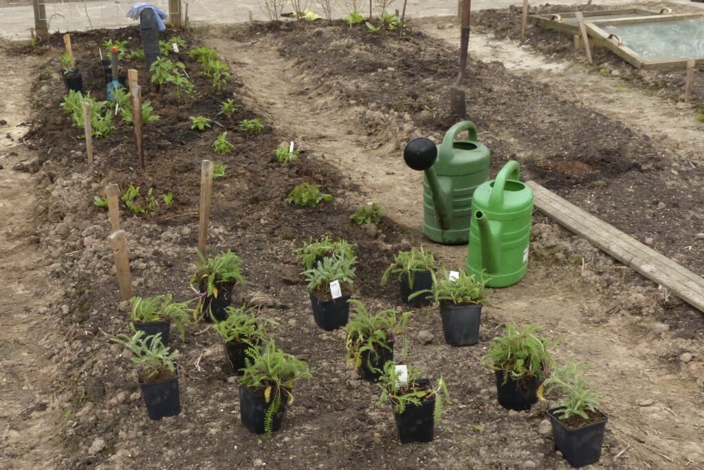 planten uitzetten pluktuin