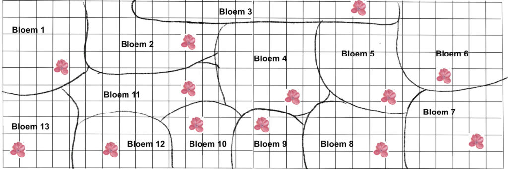 bolderontwerp pluktuin eenjarigen